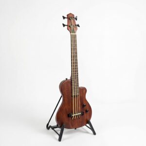gold-tone-me-bass
