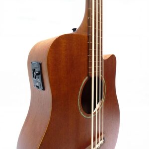 gold-tone-micro-bass-25-fl