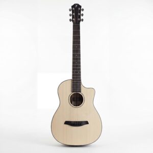 FURCH Pioneer-EM a