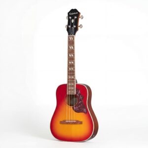 epiphone-hummingbird