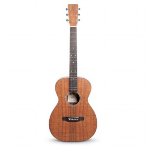 martin-d-x1-special