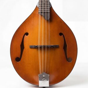 northfield-wave-length-shortscale-archtop-octave-mandoline