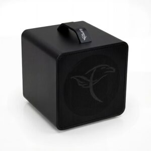 black-edition