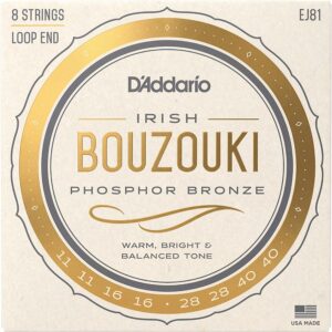 daddario-ej81-irish-bouzouki
