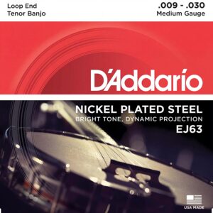 daddario-tenor-banjo-ej63