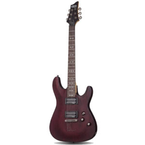 E-Gitarren