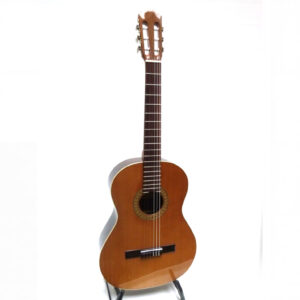 Gitarre
