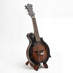 Mando Guitar